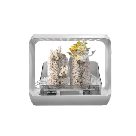 2020 Creative mini indoor Home plant Pots Mushrooms smart garden with Led Light